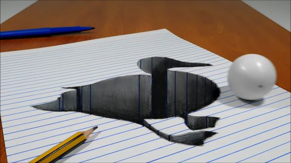 3D Duck Trick Art Hole On Line Paper 2