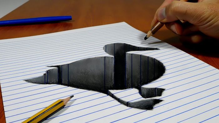 3D Duck Trick Art Hole On Line Paper