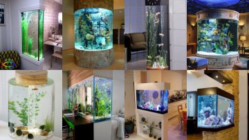 Best 30 Home Aquarium Decor